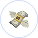 Money Icon